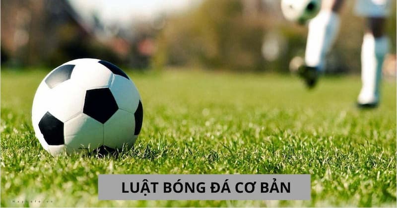 Kích thước của sân bóng 11 người