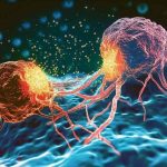 รู้จักกับ "เซลล์ต้านการตาย" (Anti-Apoptotic Cells) กุญแจดอกสุดท้าย