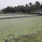 นิยามใหม่ของสุขภาพชายในปี 2026