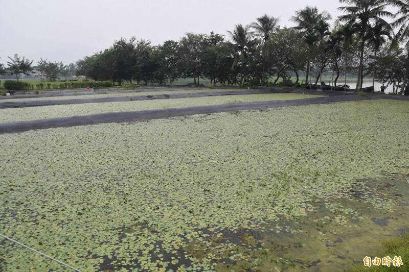 นิยามใหม่ของสุขภาพชายในปี 2026