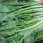 ผลกระทบของยาฆ่าแมลงต่อฮอร์โมนเพศชายและระบบเผาผลาญ